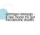 Göttingen Minipigs - a new model for gut microbiome studies